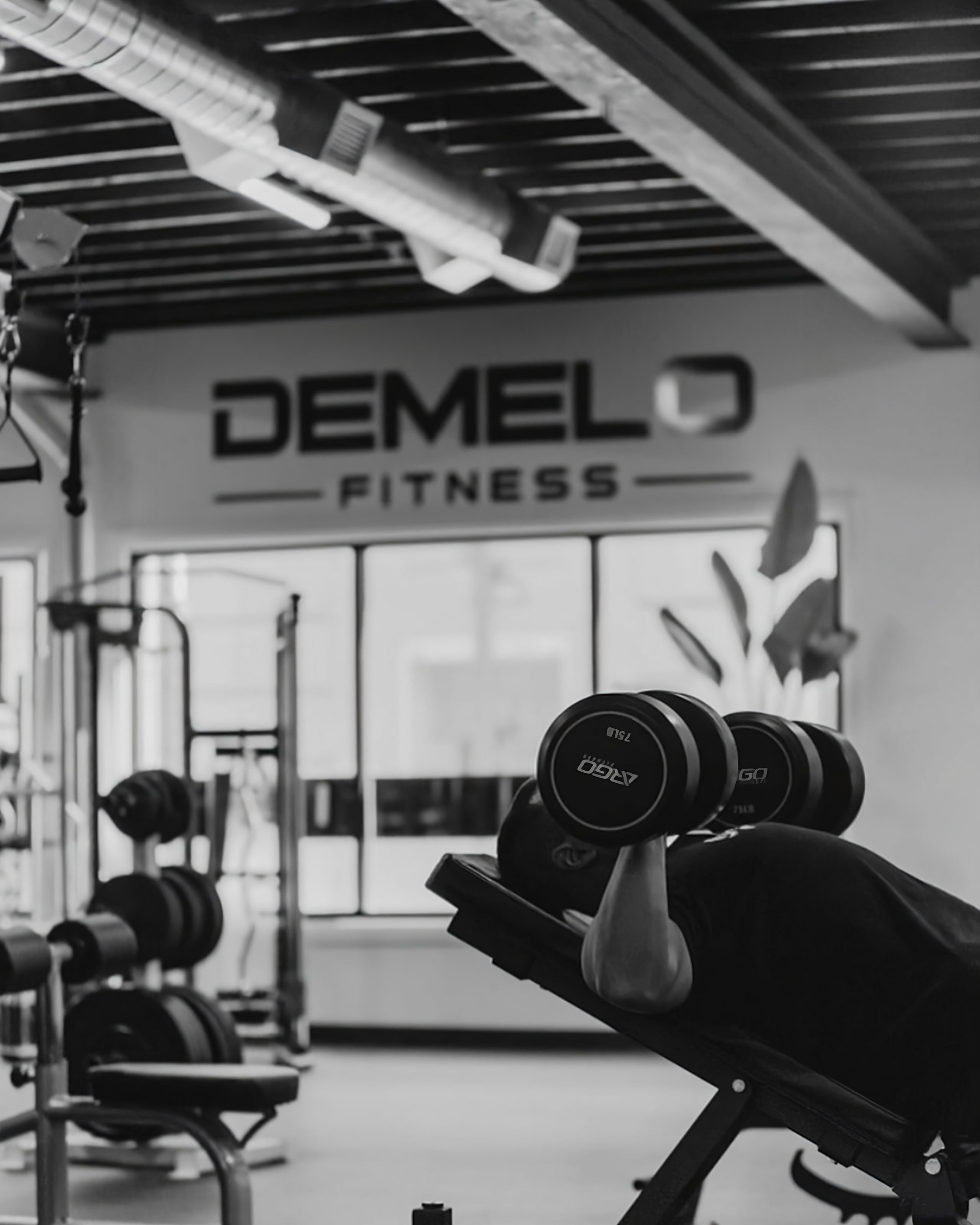 A photo of Josh DeMelo lifting weights in either hand while lying up against an adjustable bench. In the background is the DeMelo Fitness branding on the wall above three windows, and in the middleground are racks of weights and a bench to lie on to press from