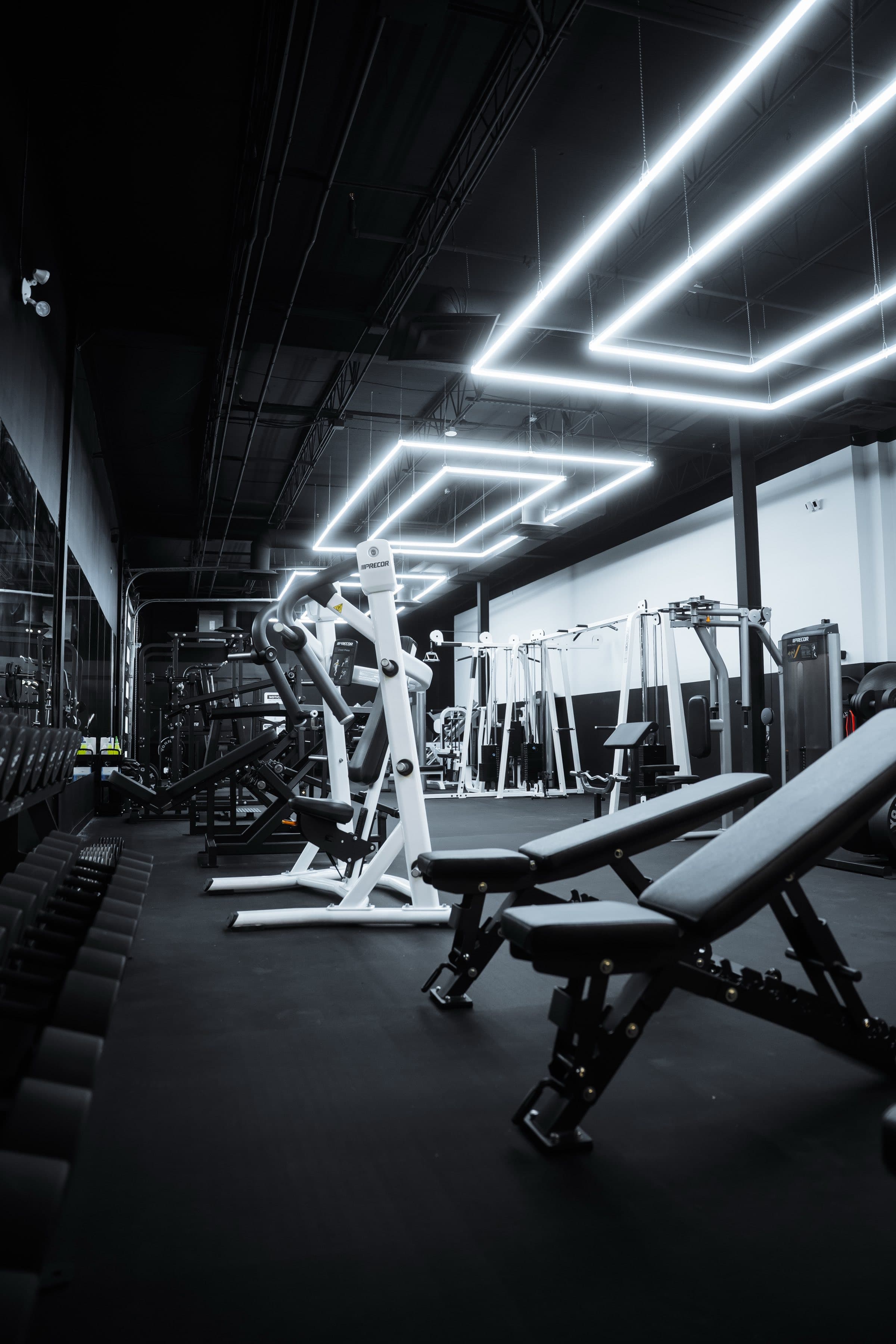 Plate-loaded machines and benches beneath the geometric lighting rig