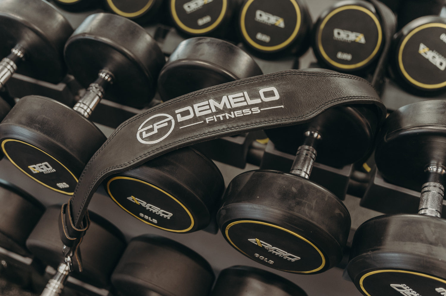 Weights in the DeMelo Fitness gym with a strap overtop branded by DeMelo Fitness