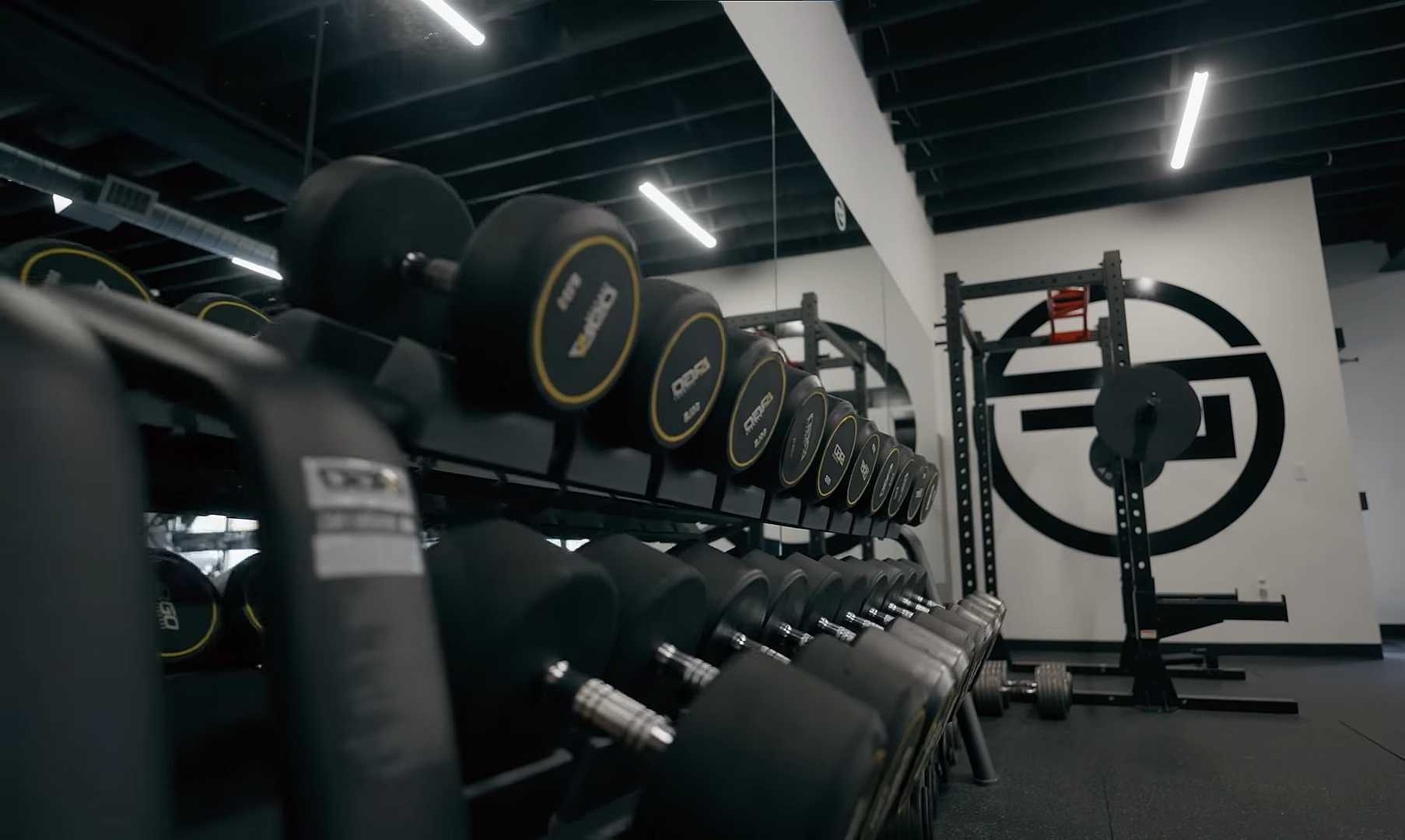 A wide shot of the DeMelo Fitness hand weight rack. In the background is the DeMelo Fitness logo on the wall with a crossbar out of focus